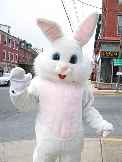 This is the Easter Bunny suit